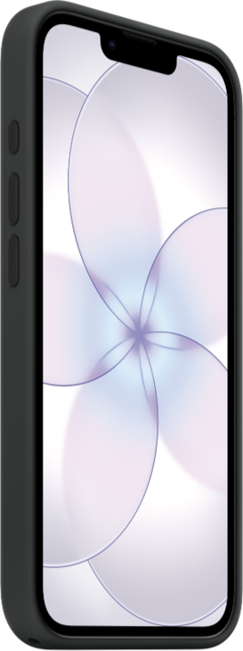 iPhone 17e Silikonskal med MagSafe - Svart