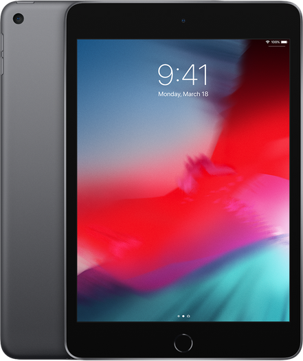 iPad mini Wi-Fi + Cellular 256GB - Space Grey iPad mini Wi-Fi + Cellular 256GB - Space Grey